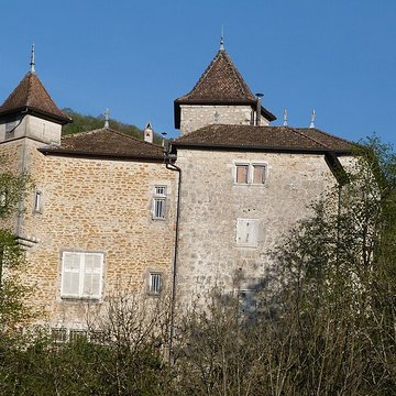 Château de Coiselet