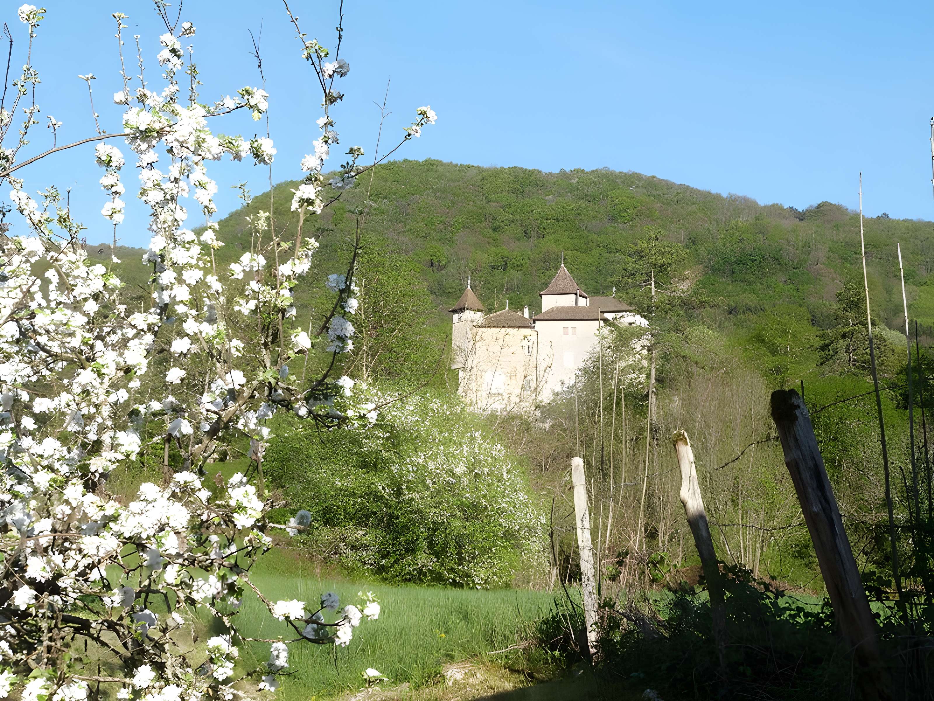 Château de Coiselet 