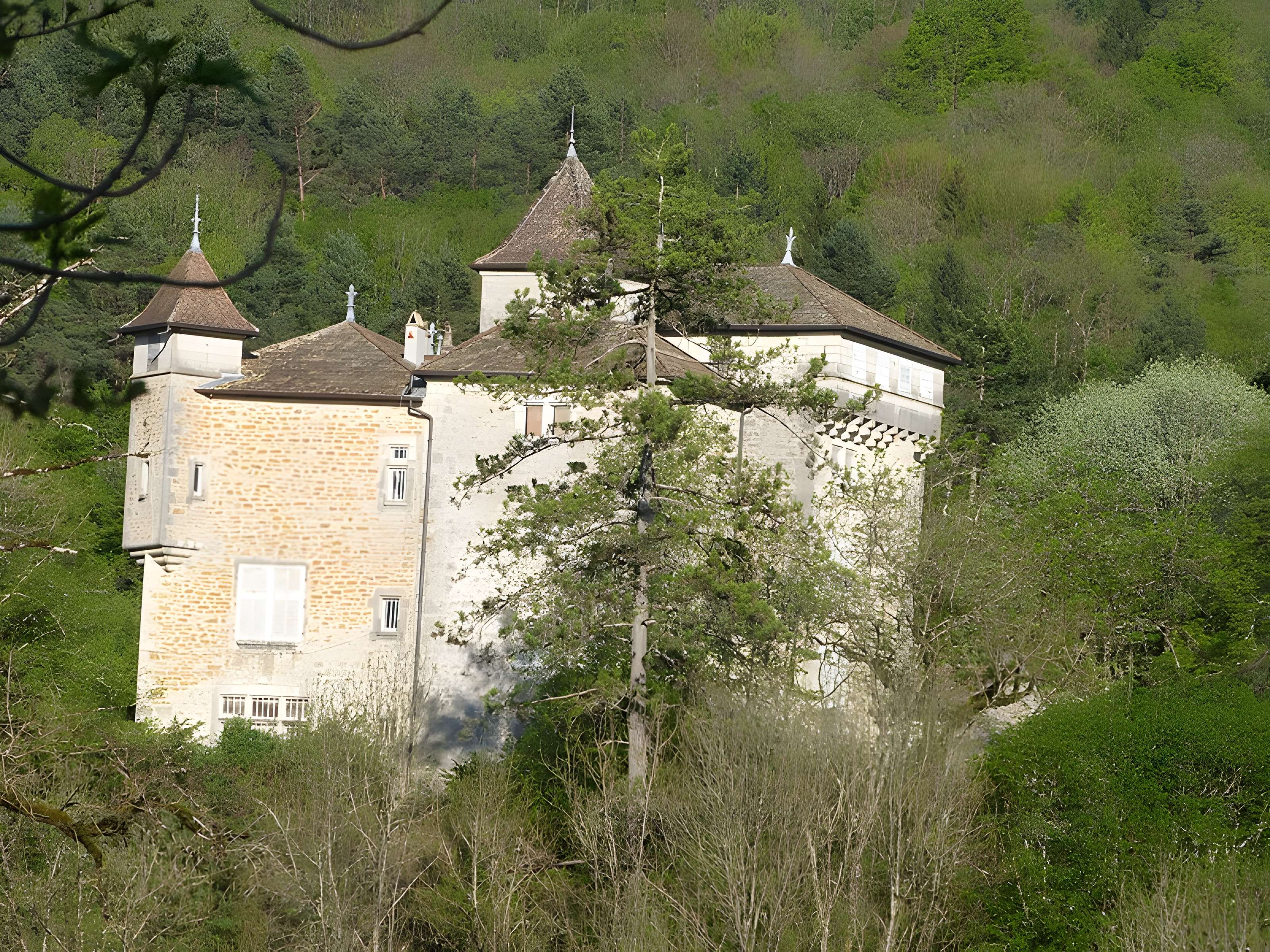 Château de Coiselet
