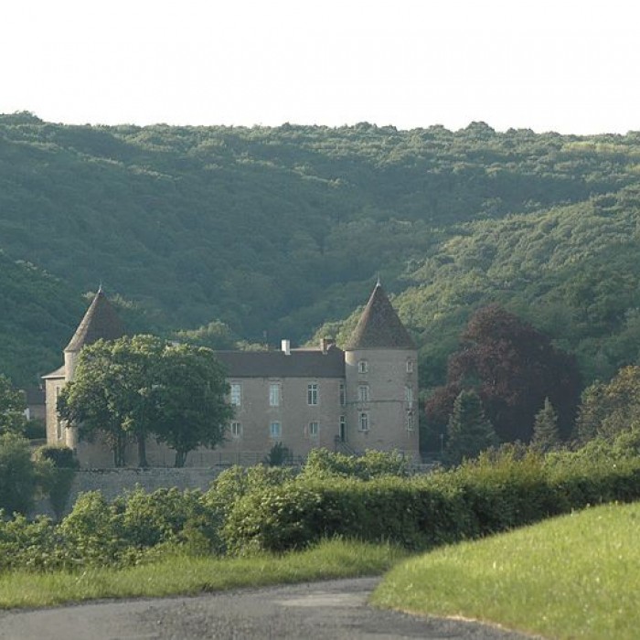 Photo de Château de Cruzille