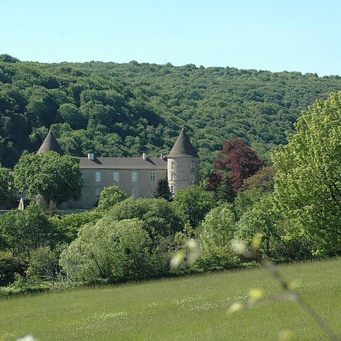Photo de Château de Cruzille