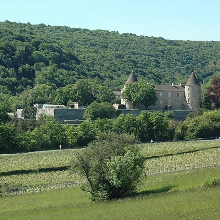 Photo de Château de Cruzille