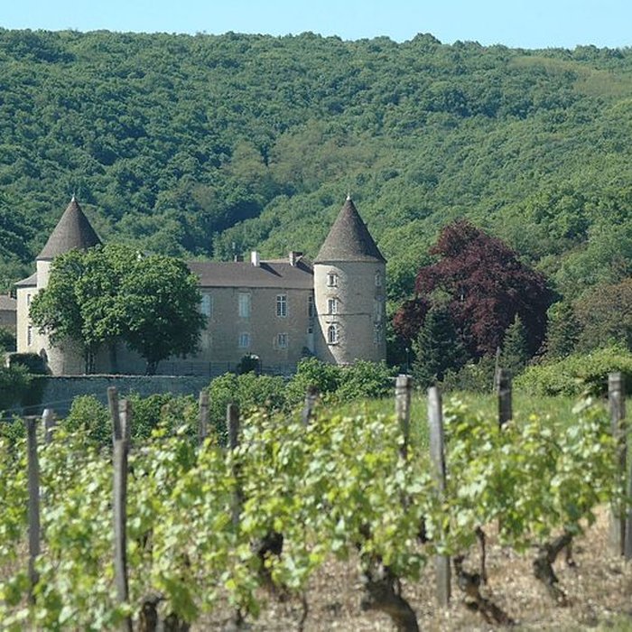 Photo de Château de Cruzille