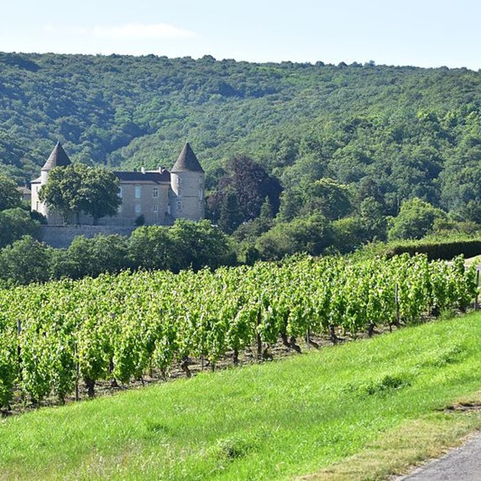 Photo de Château de Cruzille