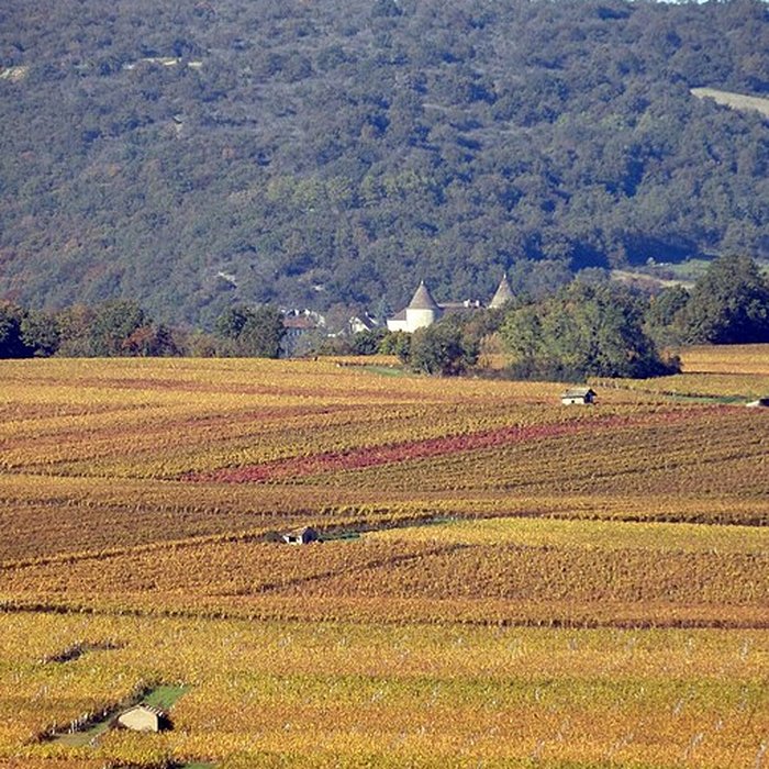 Photo de Château de Cruzille