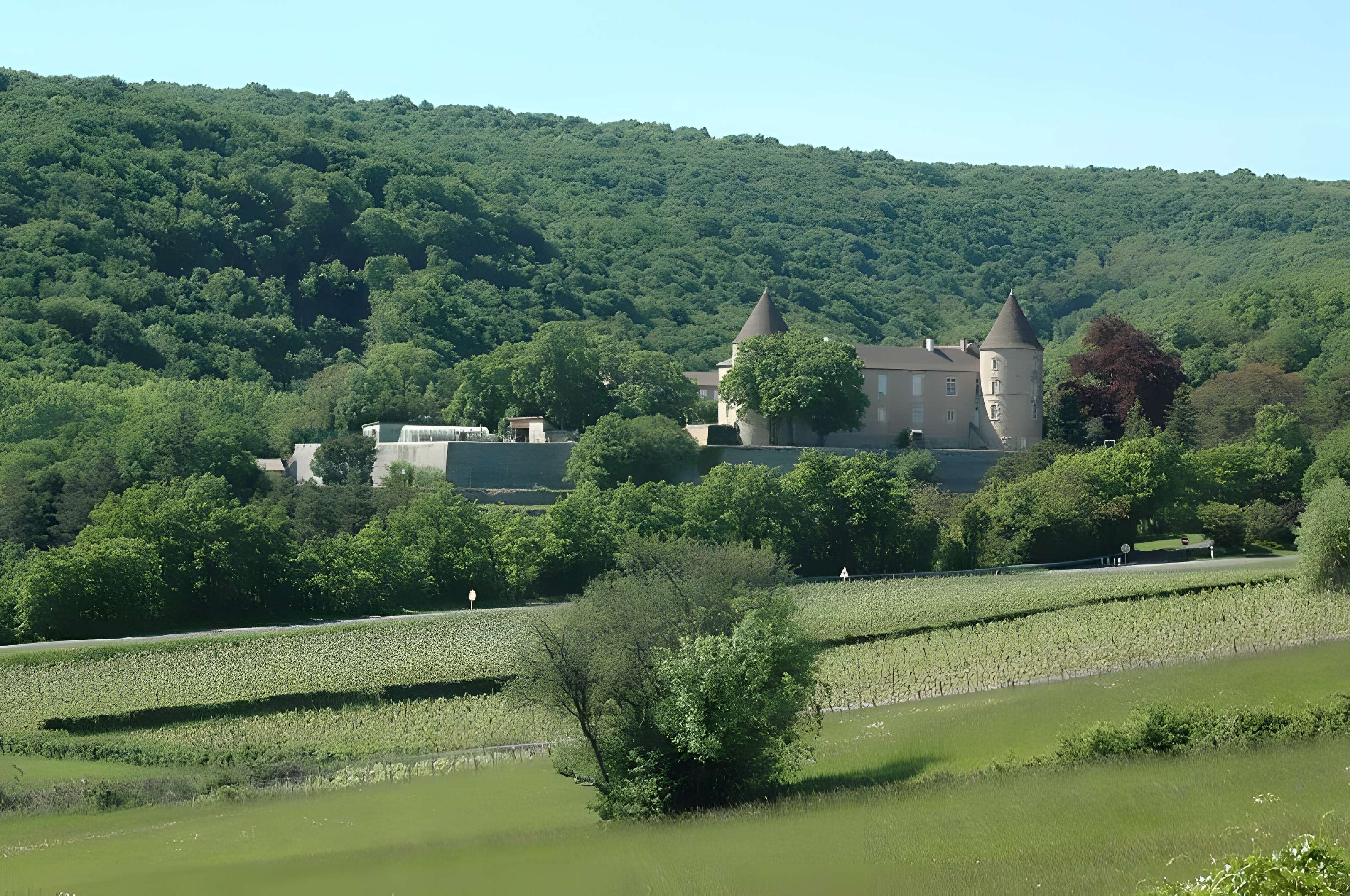 Château de Cruzille