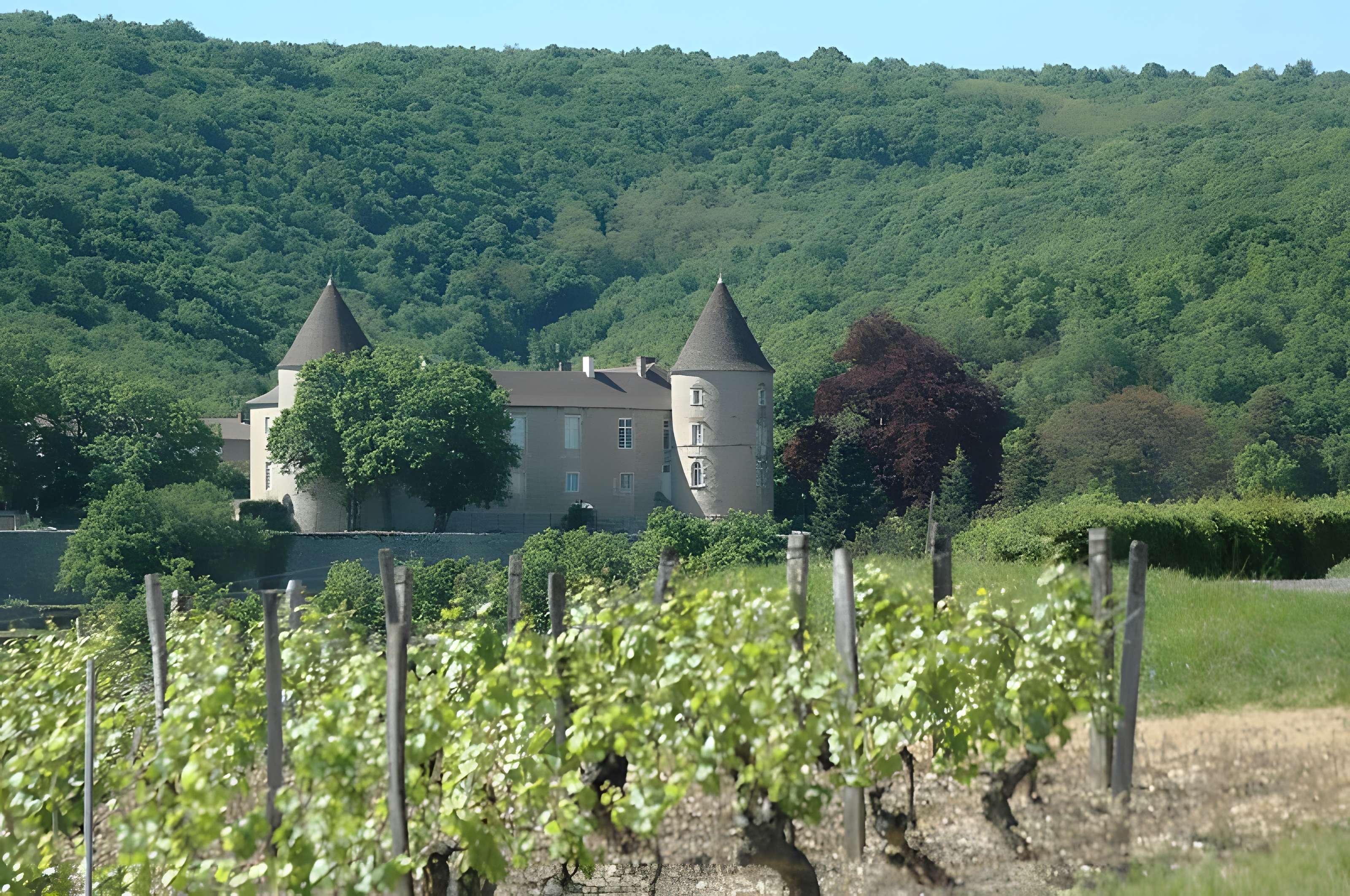 Château de Cruzille