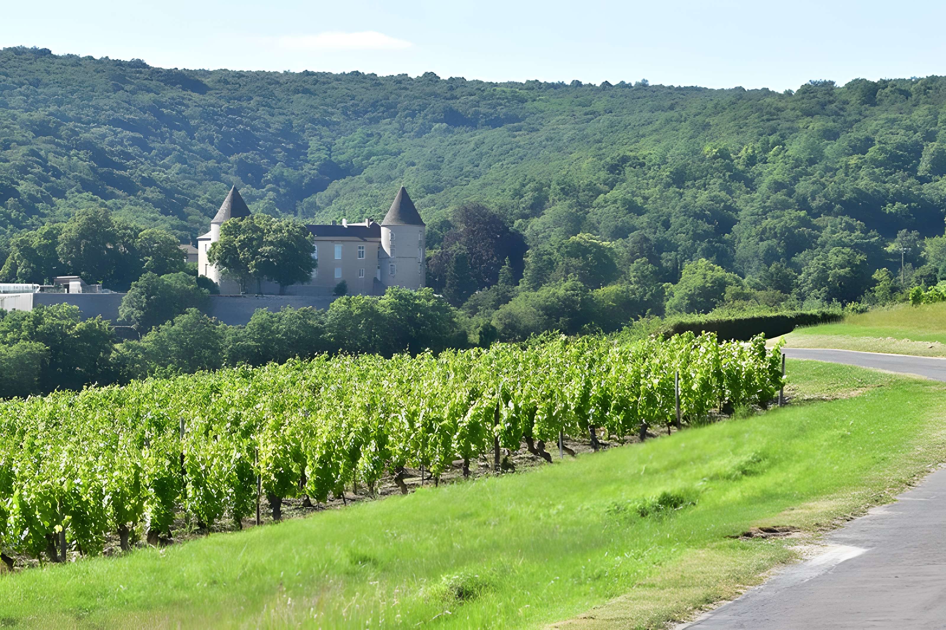 Château de Cruzille