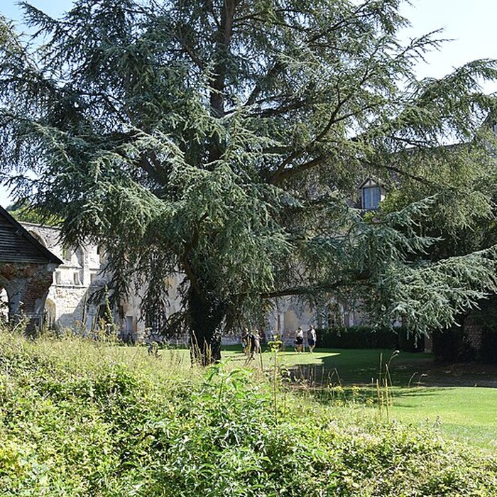Photo de Abbaye de Mortemer