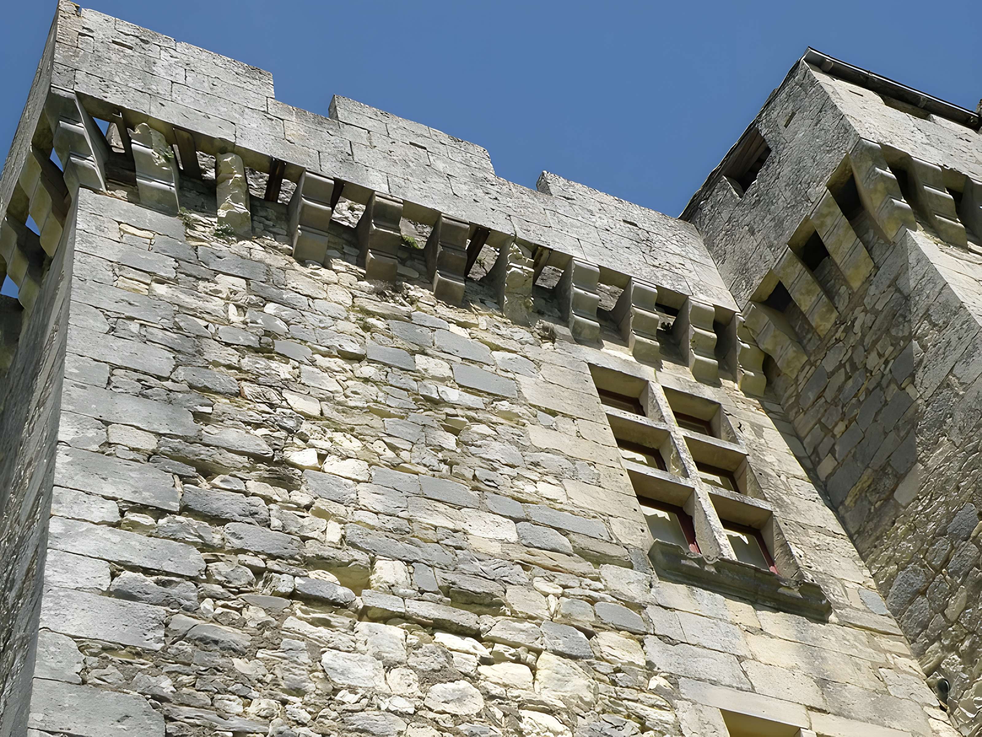 Château de la Coste