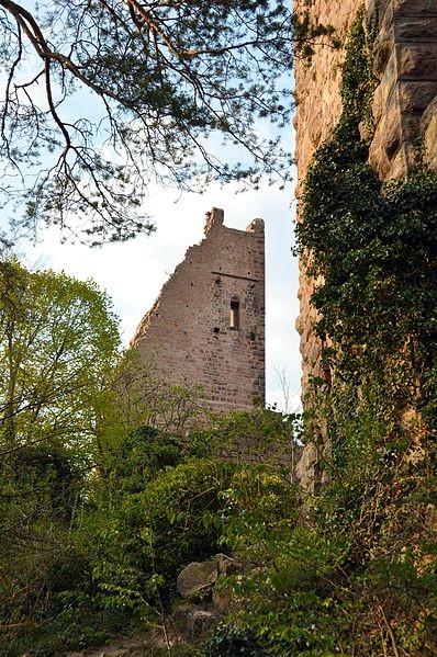 Photo de Château de Dagsbourg