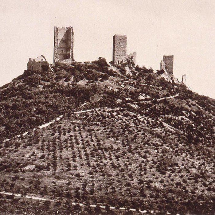 Photo de Ruines du château de Dagsbourg