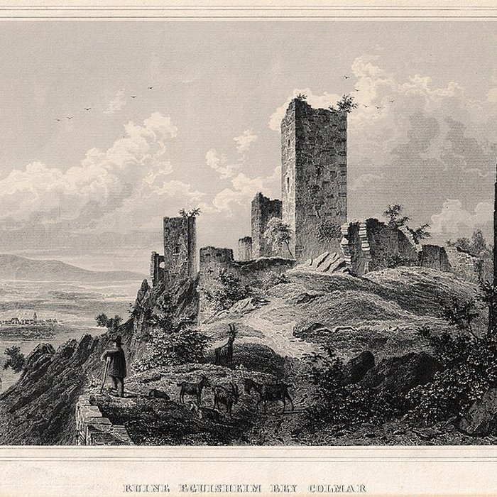 Photo de Ruines du château de Dagsbourg