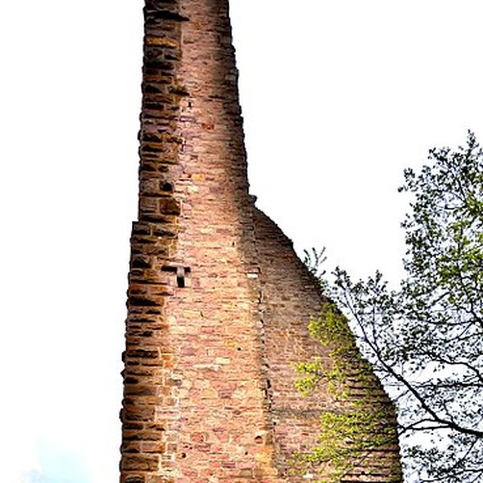 Photo de Ruines du château de Dagsbourg