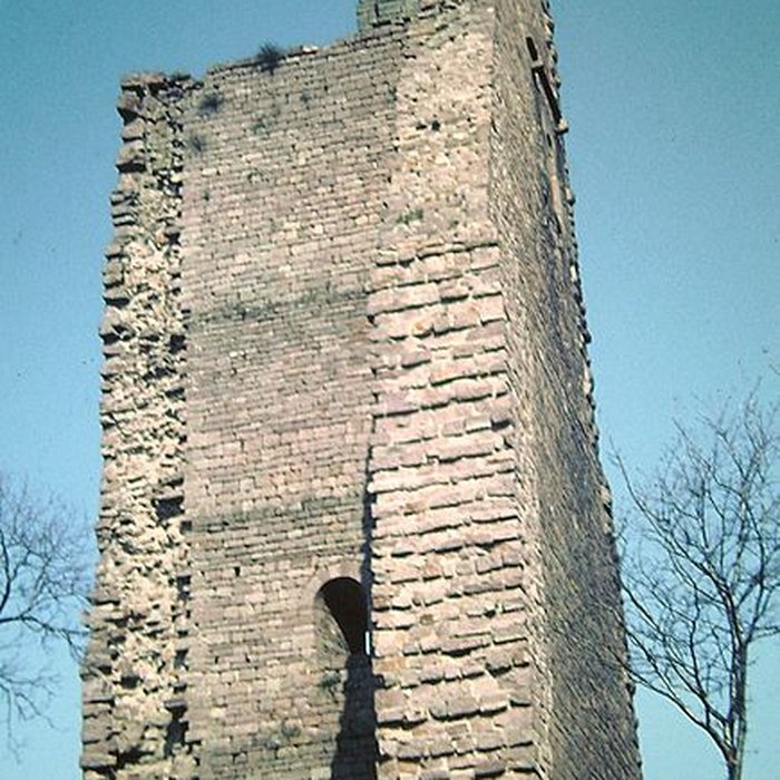 Photo de Ruines du château de Dagsbourg