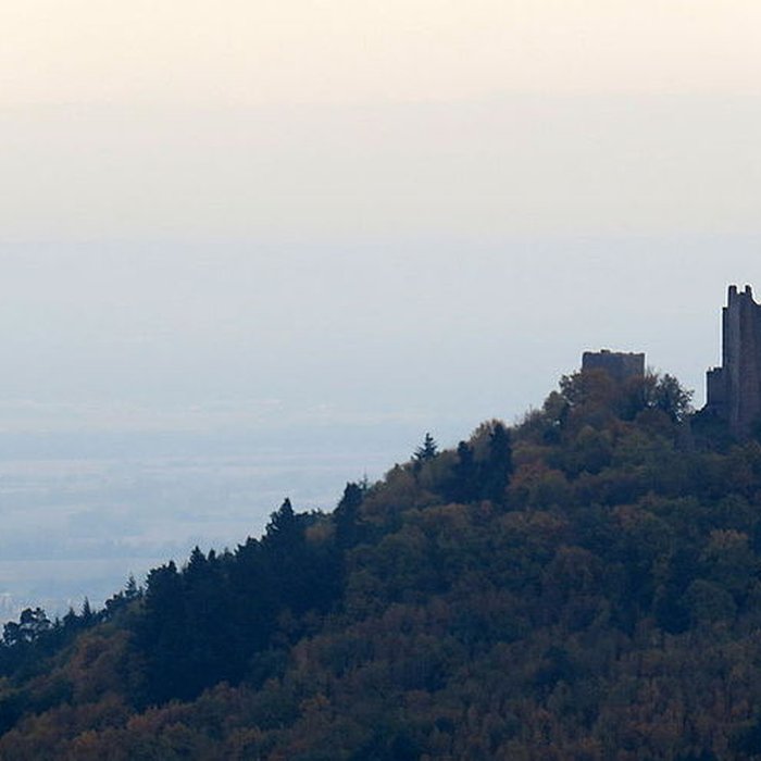 Photo de Ruines du château de Dagsbourg