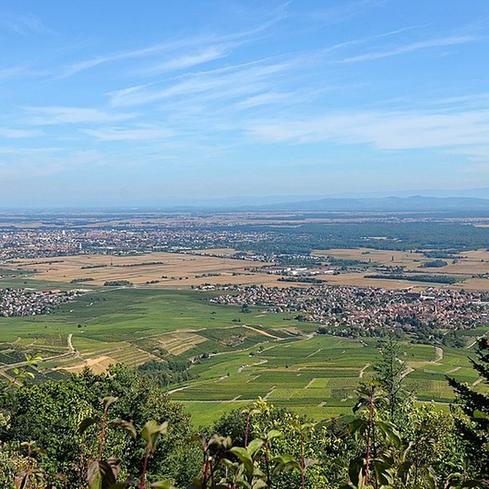 Photo de Ruines du château de Dagsbourg