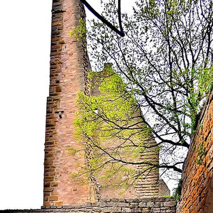 Photo de Ruines du château de Dagsbourg
