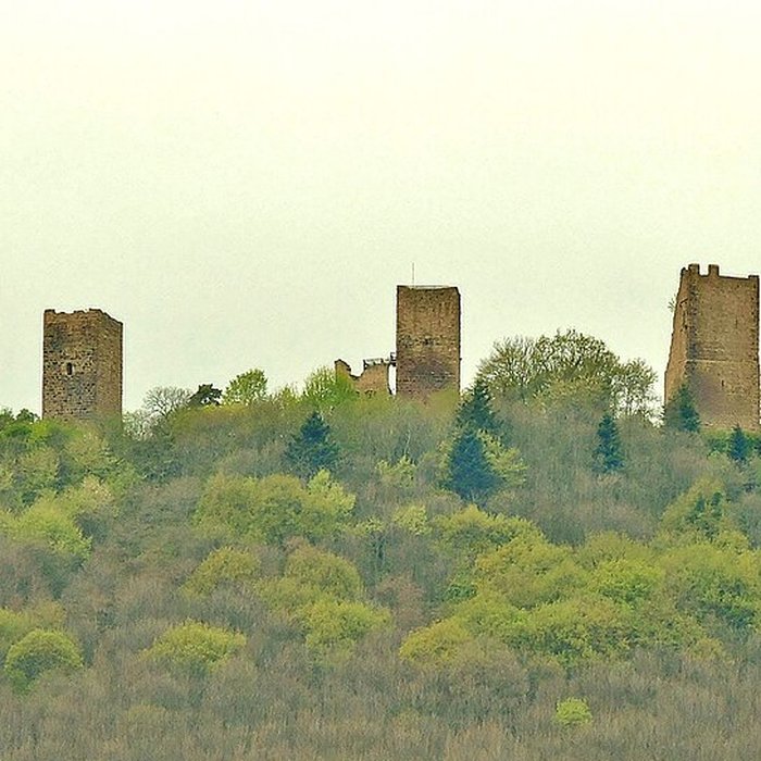 Photo de Ruines du château de Dagsbourg