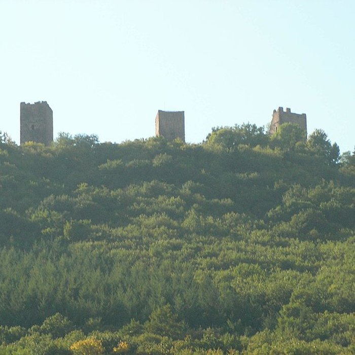 Photo de Ruines du château de Dagsbourg