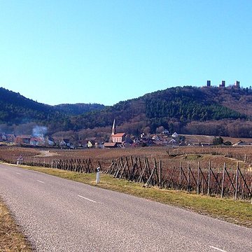Ruines du château de Dagsbourg
