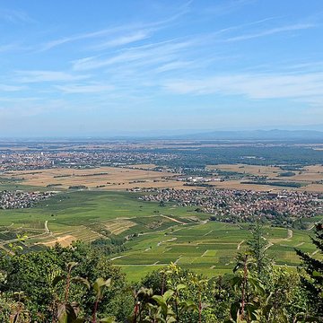 Ruines du château de Dagsbourg