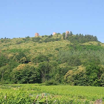 Ruines du château de Dagsbourg