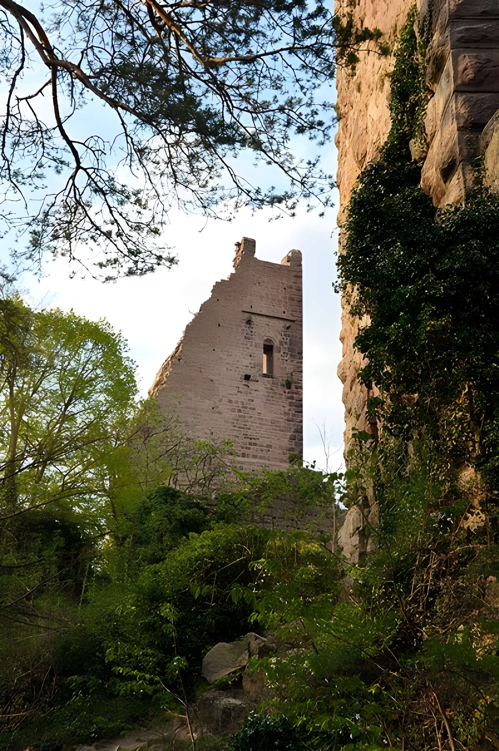 Château de Dagsbourg 