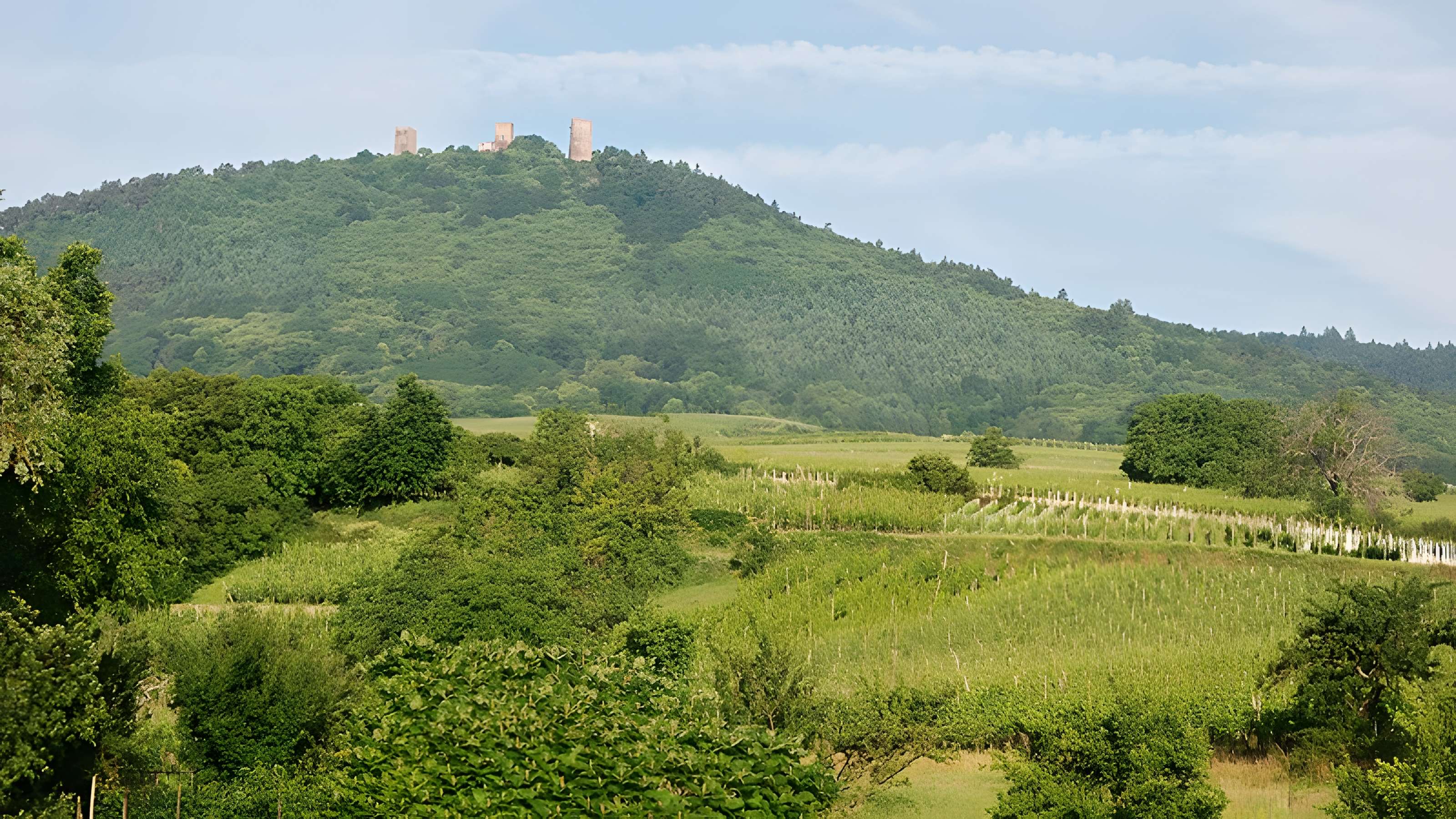 Ruines du château de Dagsbourg