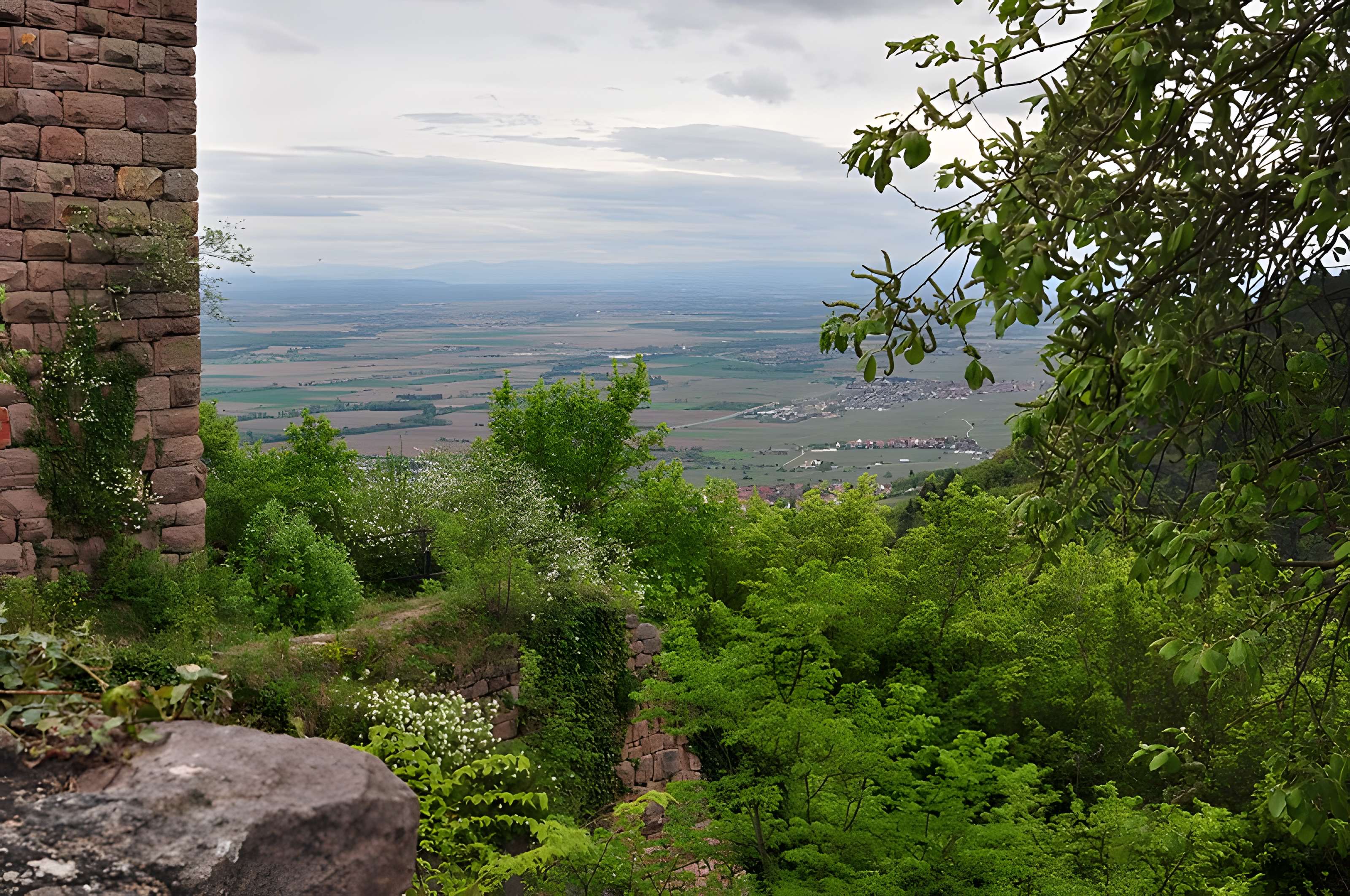 Ruines du château de Dagsbourg