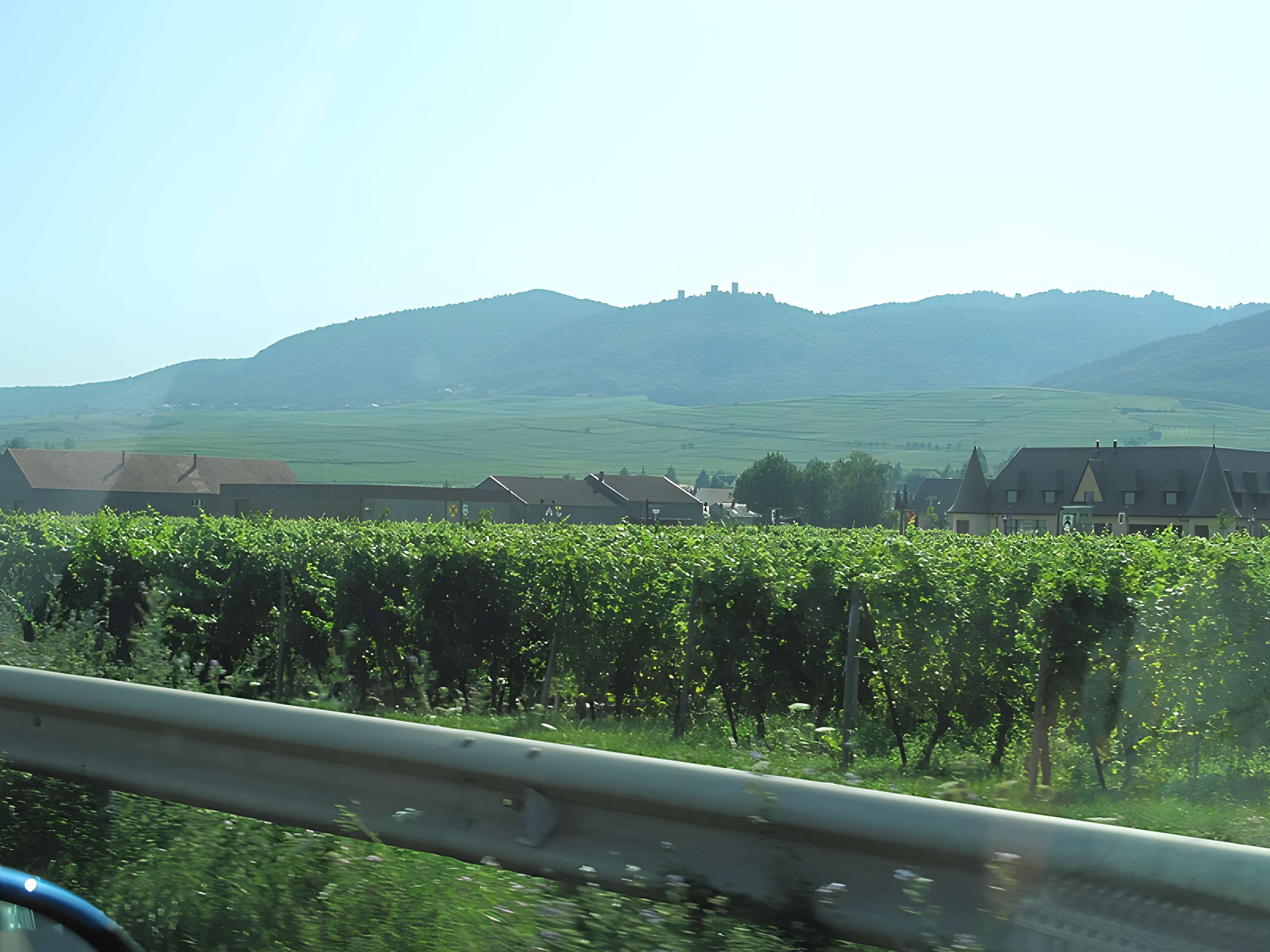 Ruines du château de Dagsbourg
