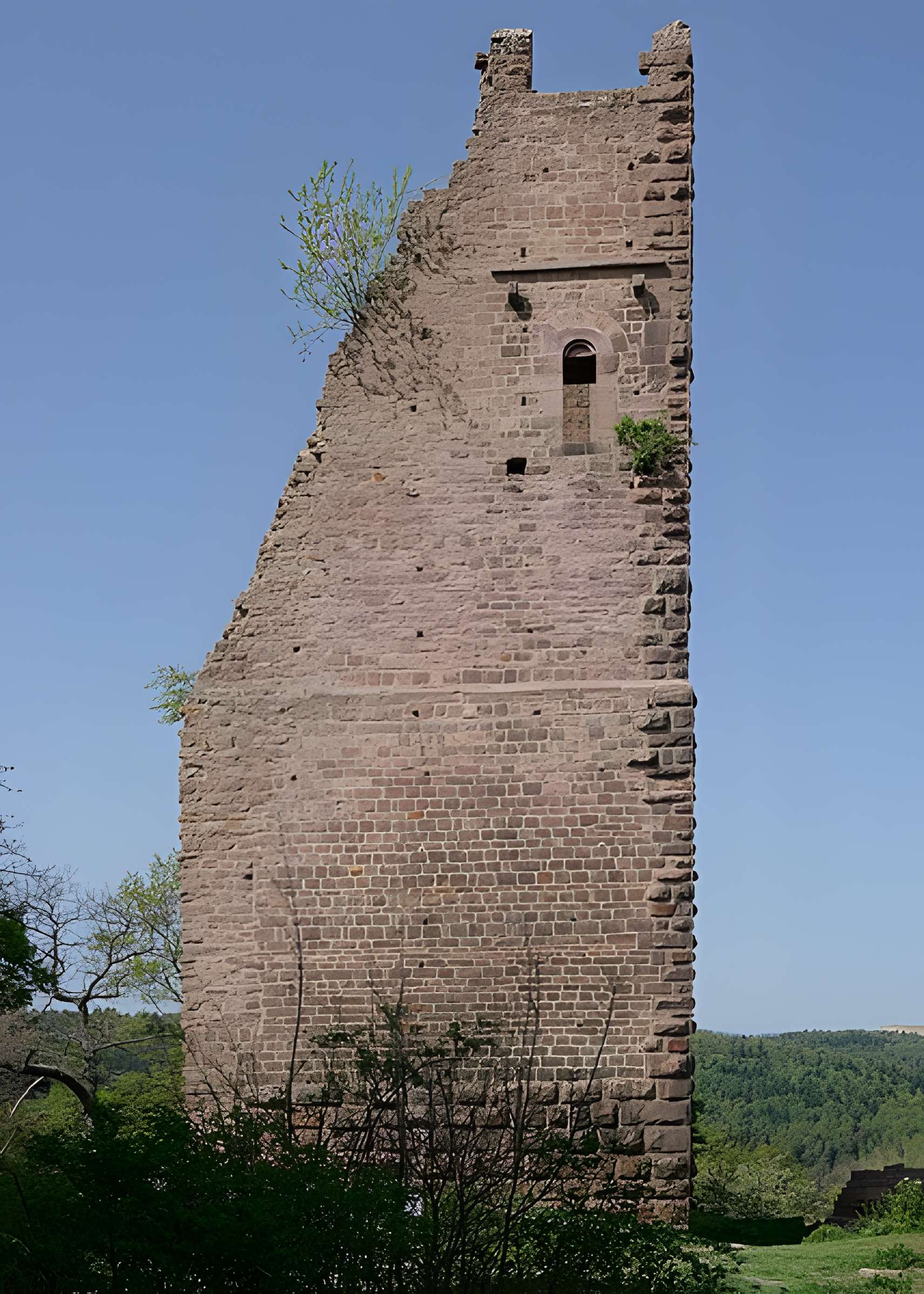 Ruines du château de Dagsbourg