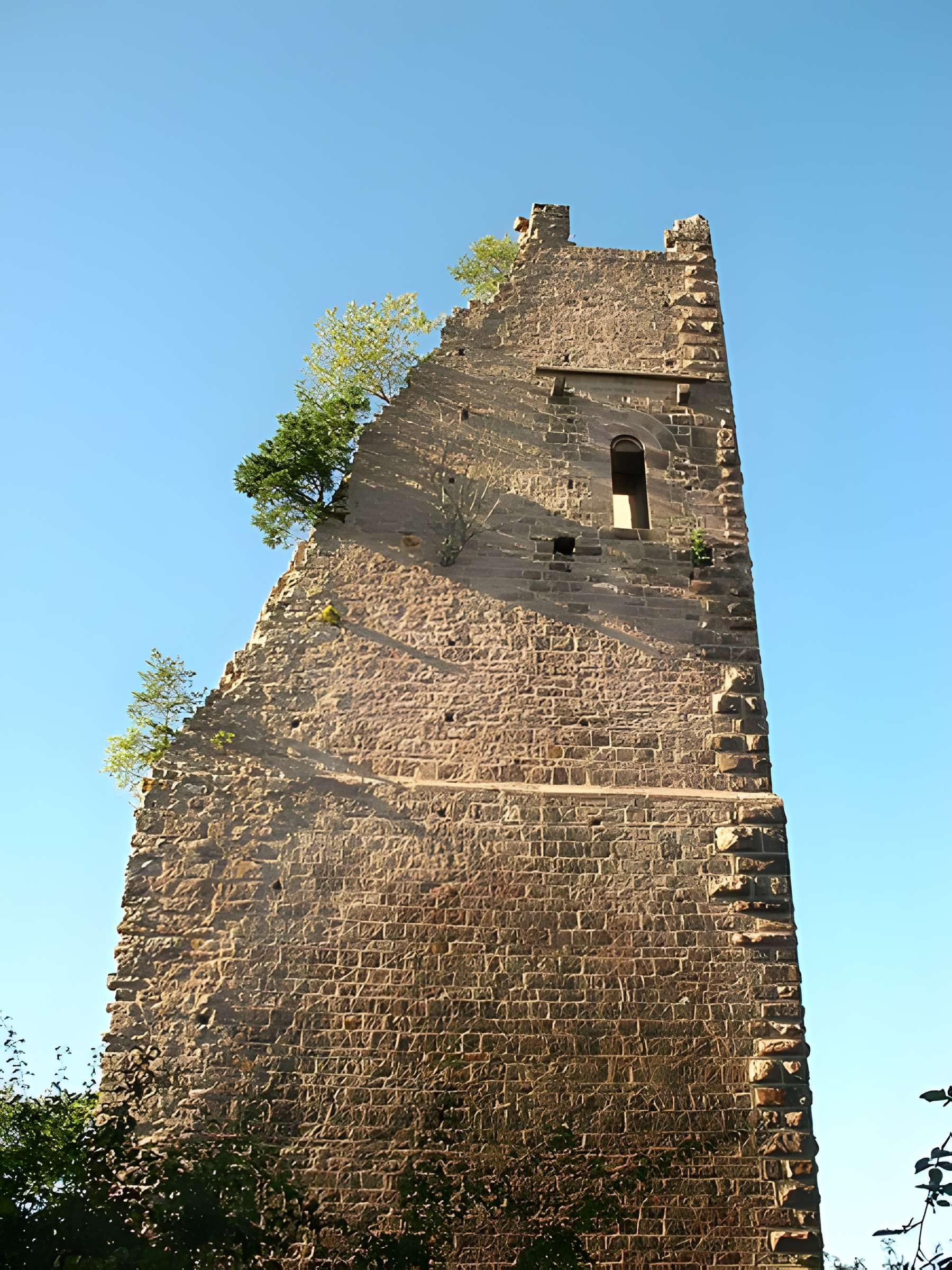 Ruines du château de Dagsbourg