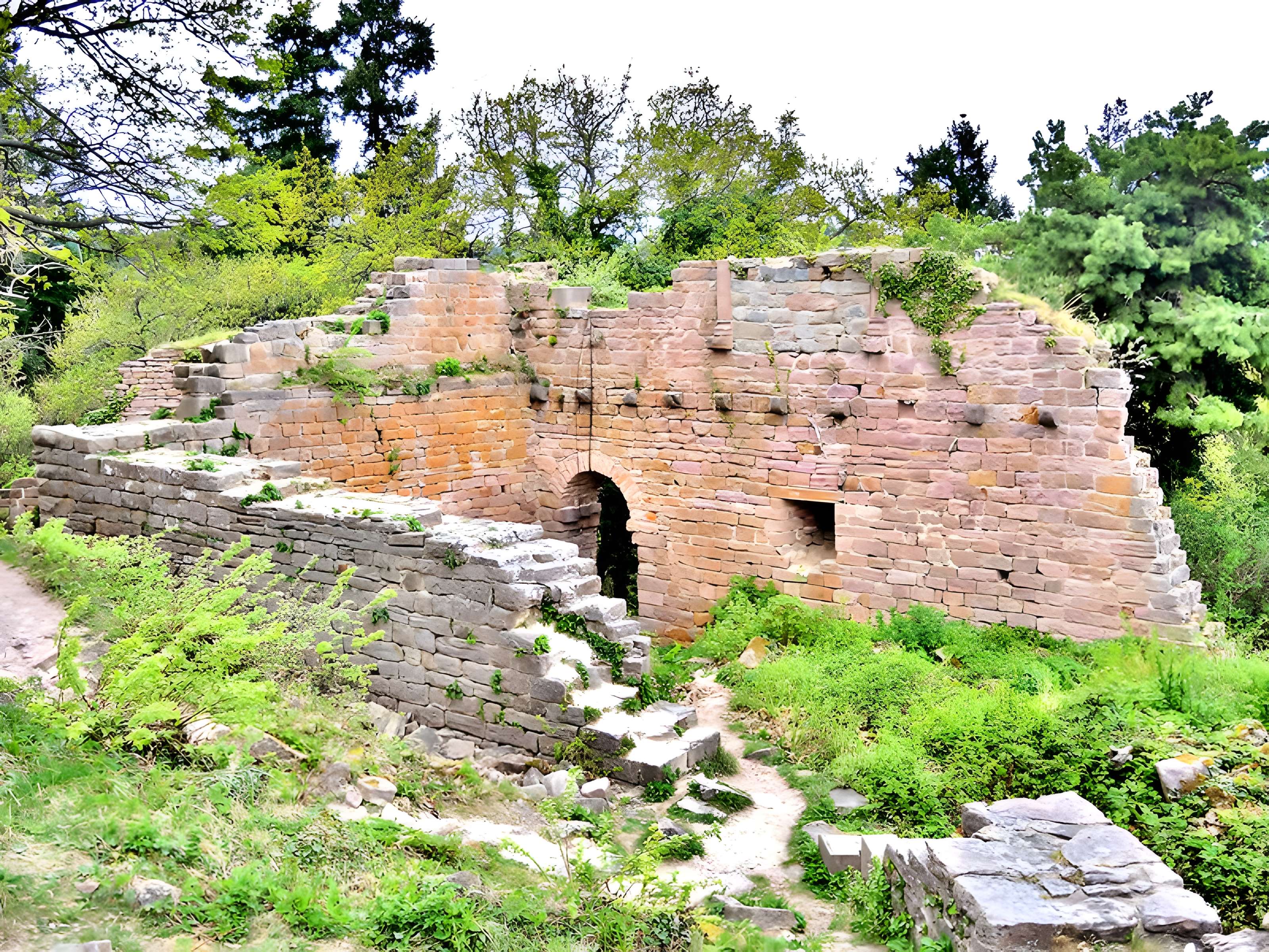 Ruines du château de Dagsbourg