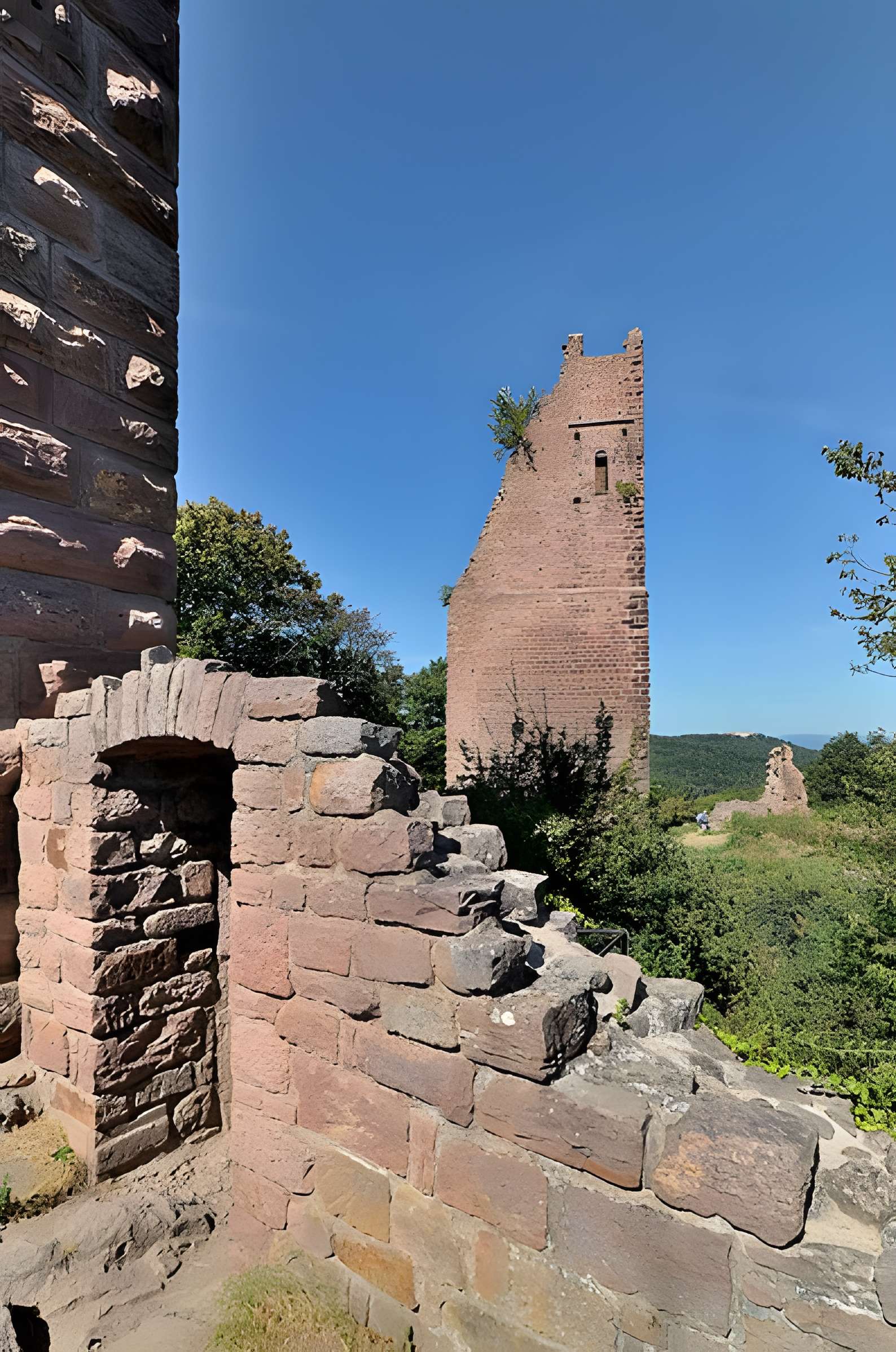 Ruines du château de Dagsbourg