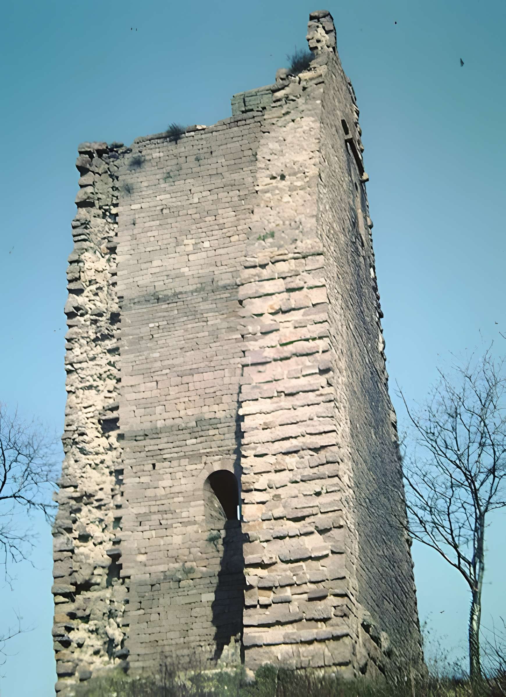 Ruines du château de Dagsbourg