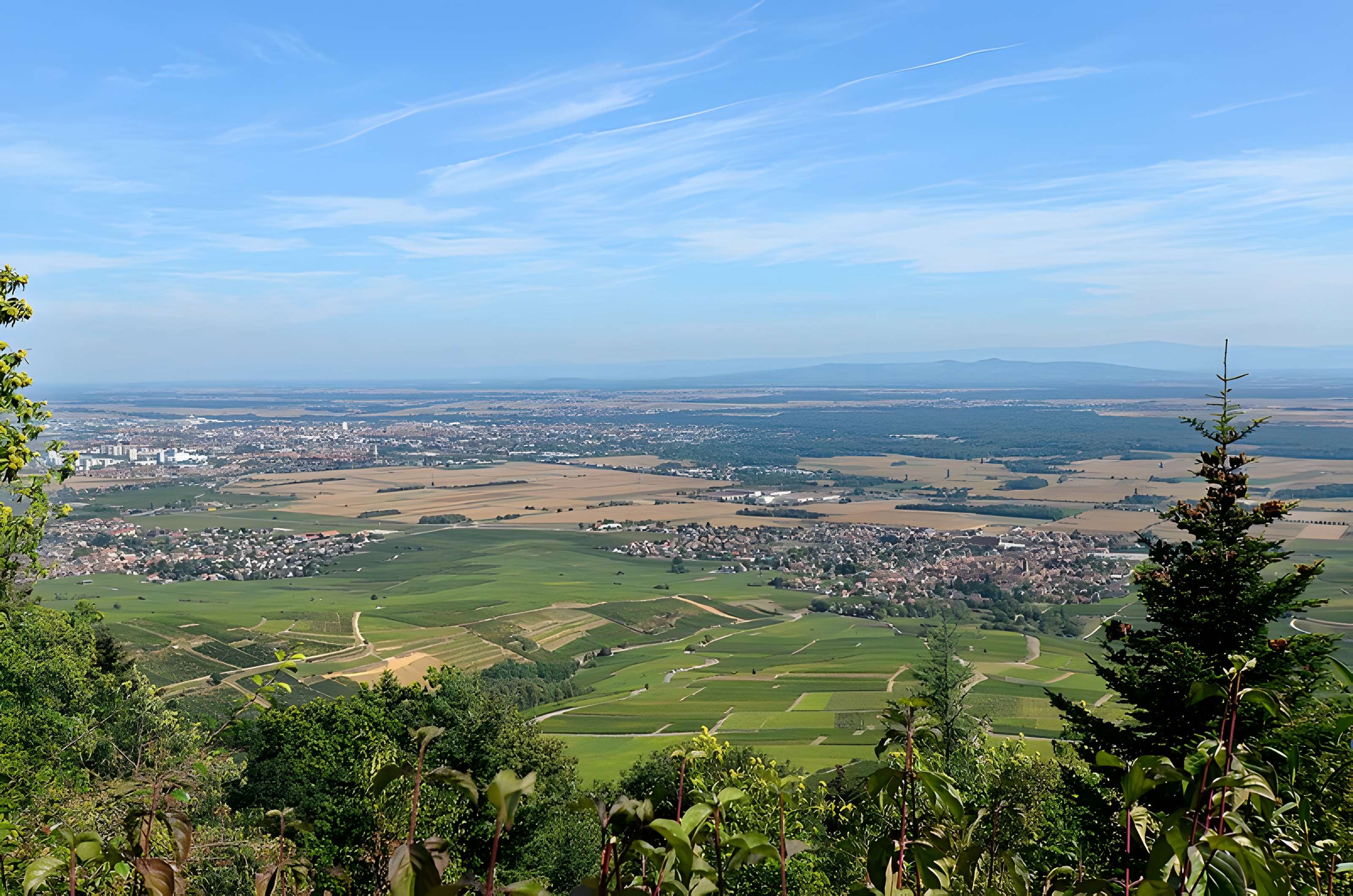 Ruines du château de Dagsbourg