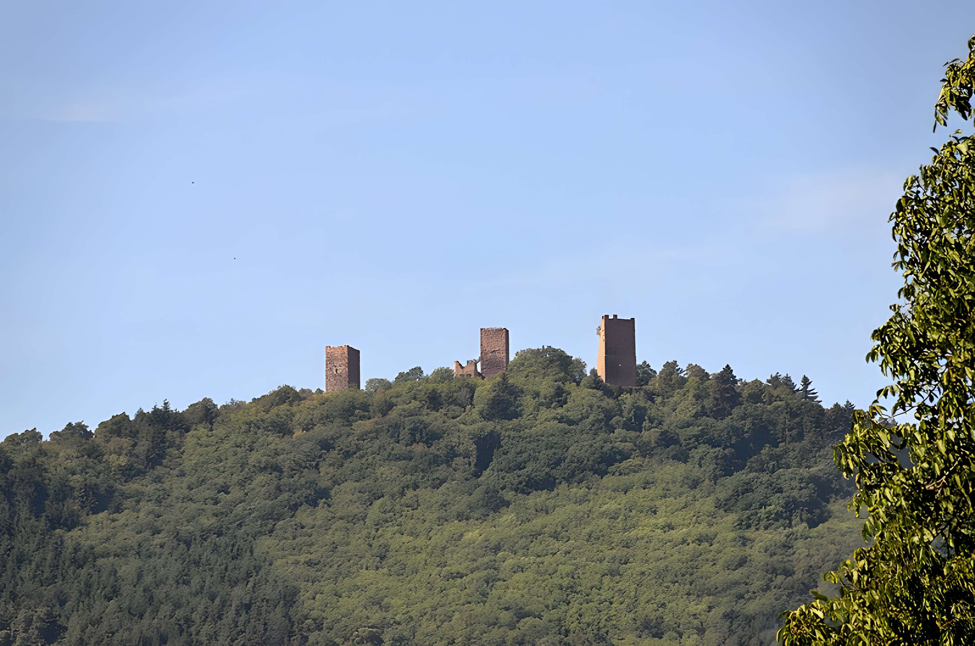Ruines du château de Dagsbourg