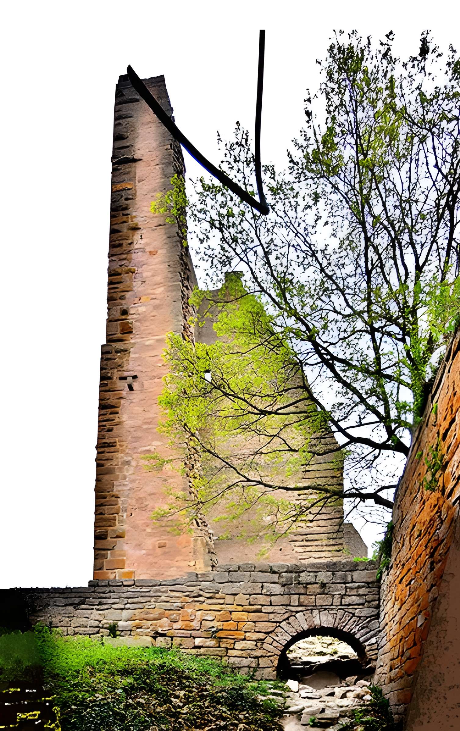 Ruines du château de Dagsbourg