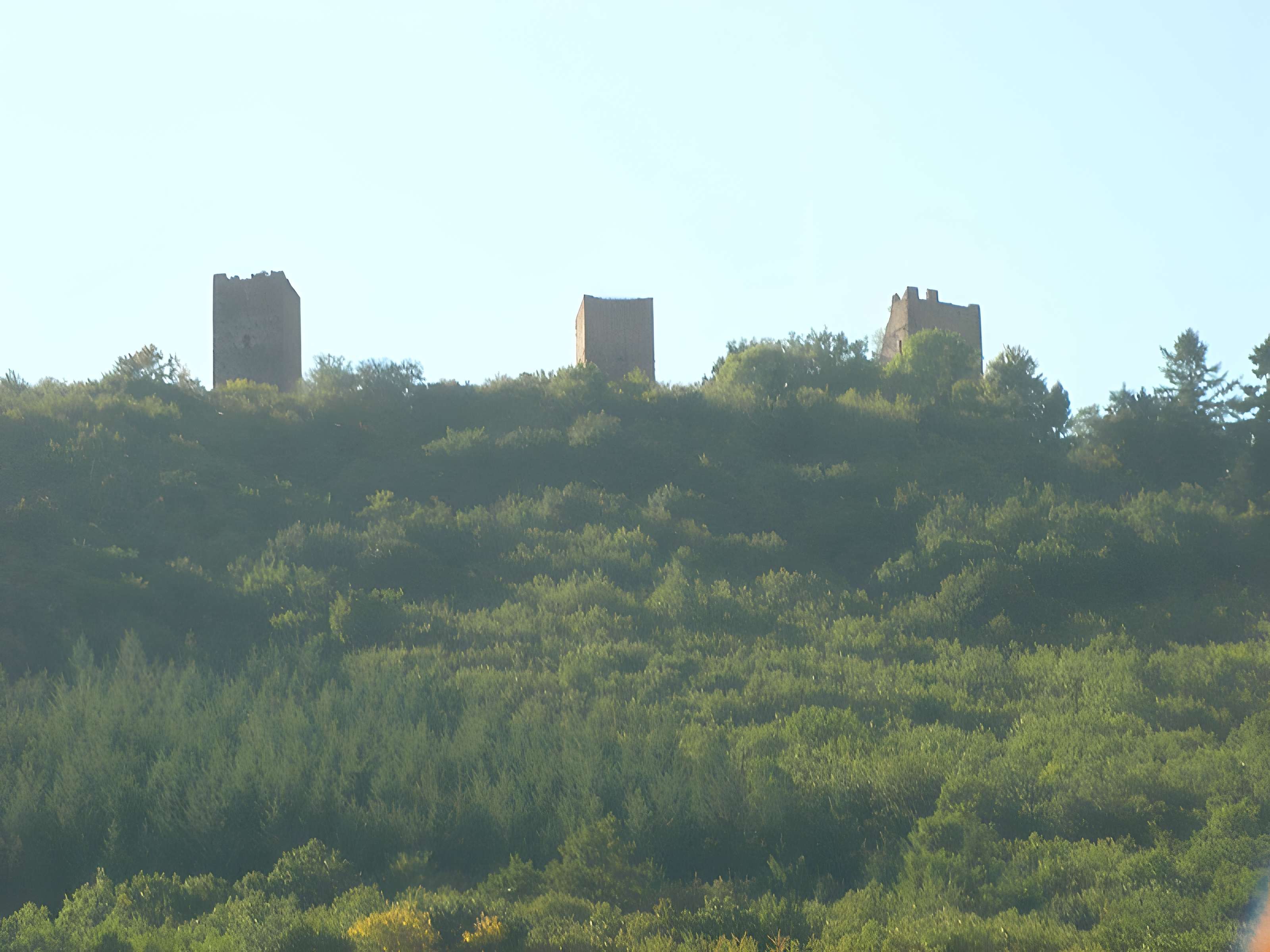 Ruines du château de Dagsbourg
