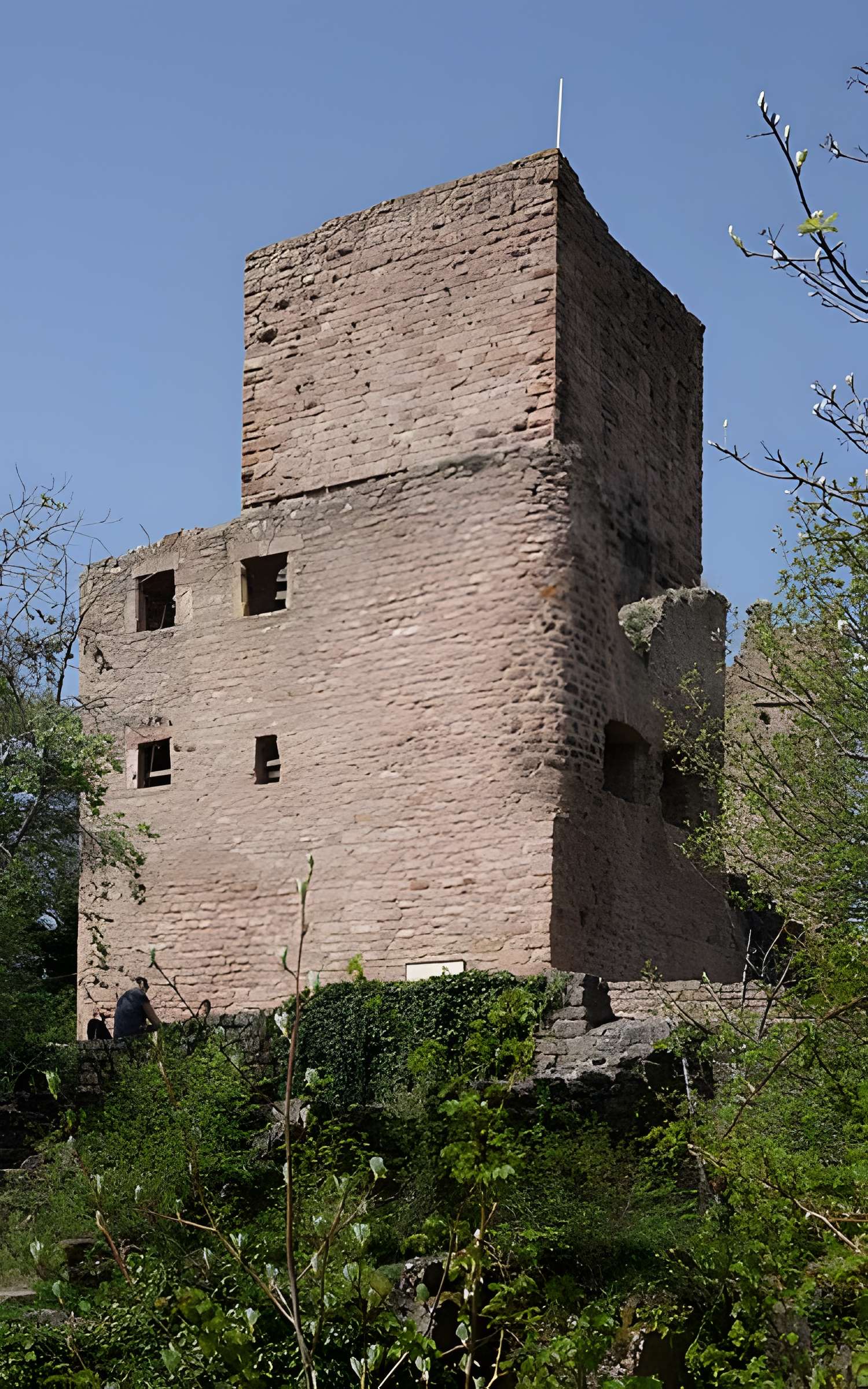 Ruines du château de Dagsbourg