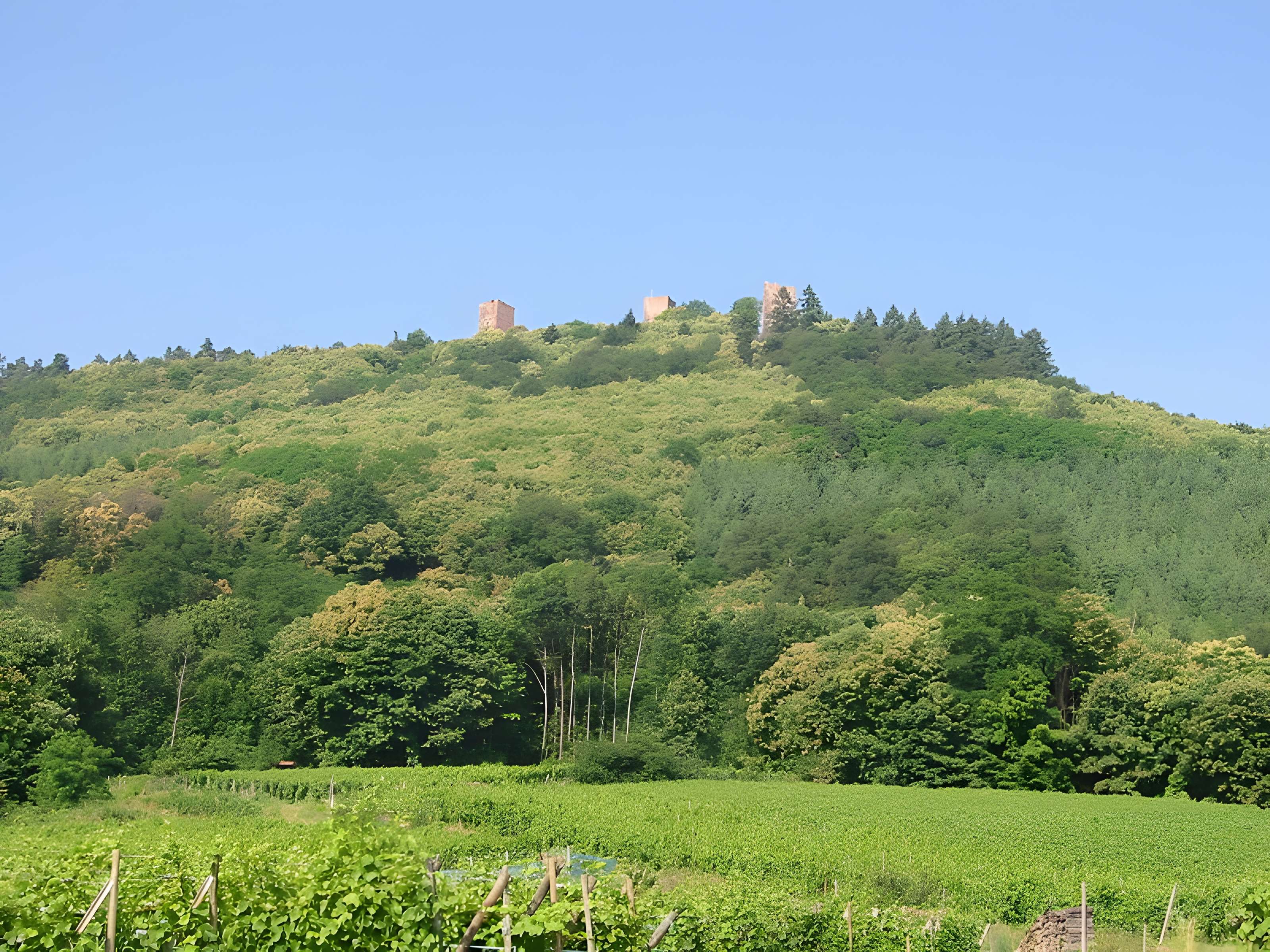 Ruines du château de Dagsbourg
