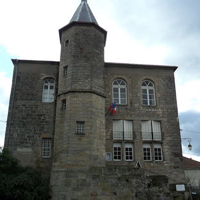 Photo de Château de Darney