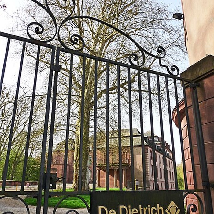 Photo de Château de Dietrich