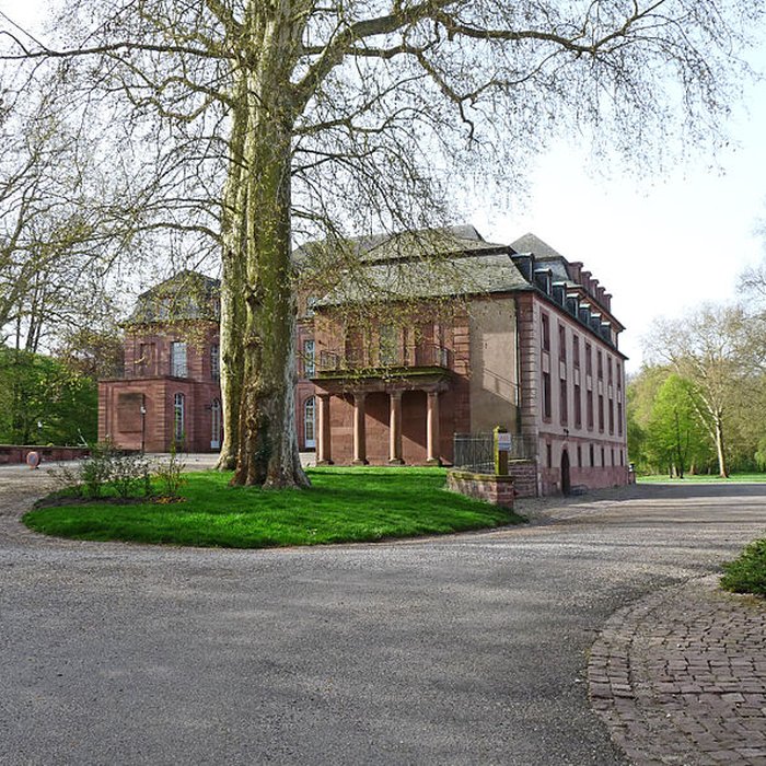 Photo de Château de Dietrich