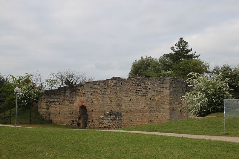 Photo de Château de Doué-la-Fontaine