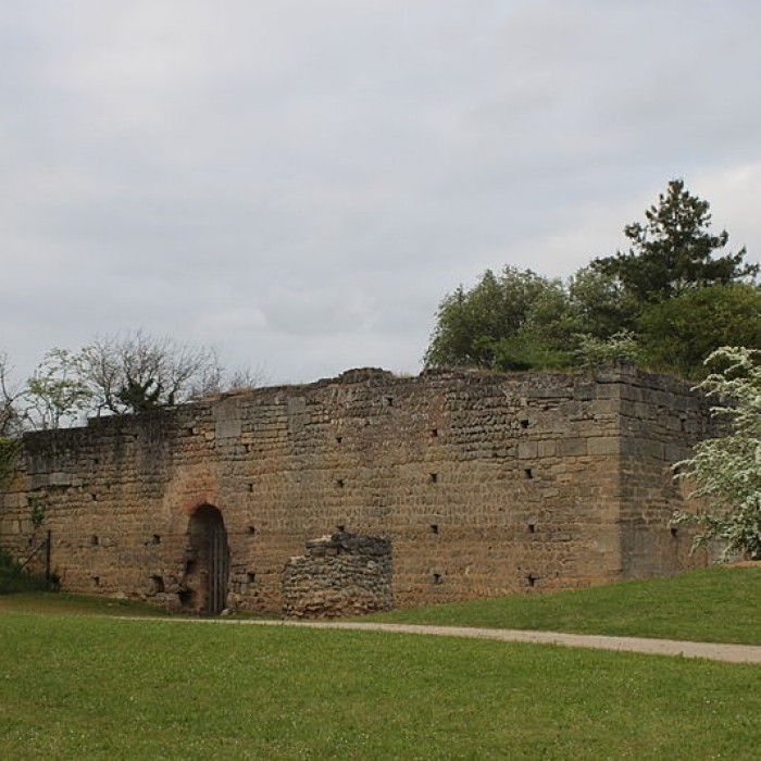 Photo de Motte féodale et donjon restes