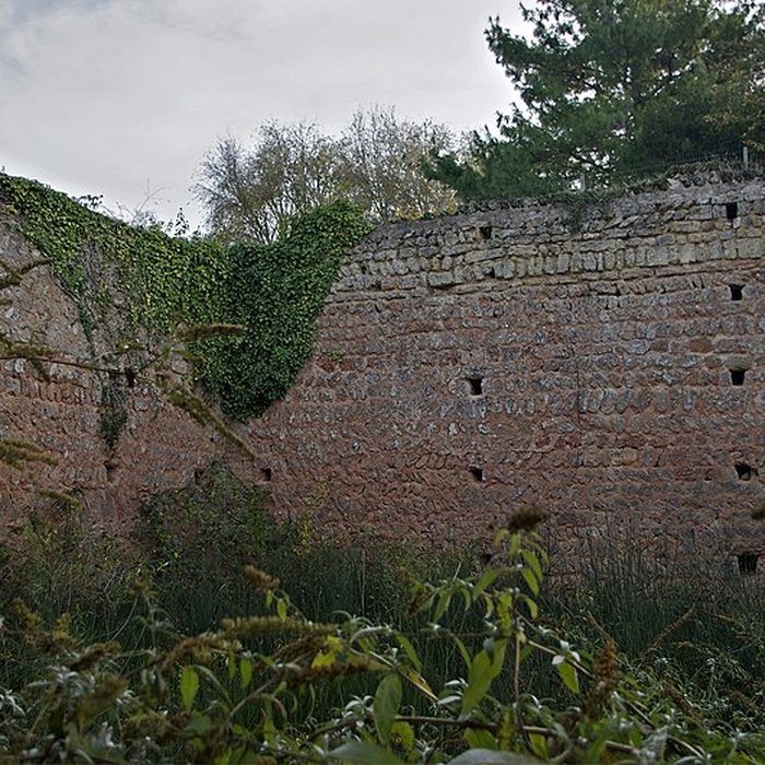 Photo de Motte féodale et donjon restes