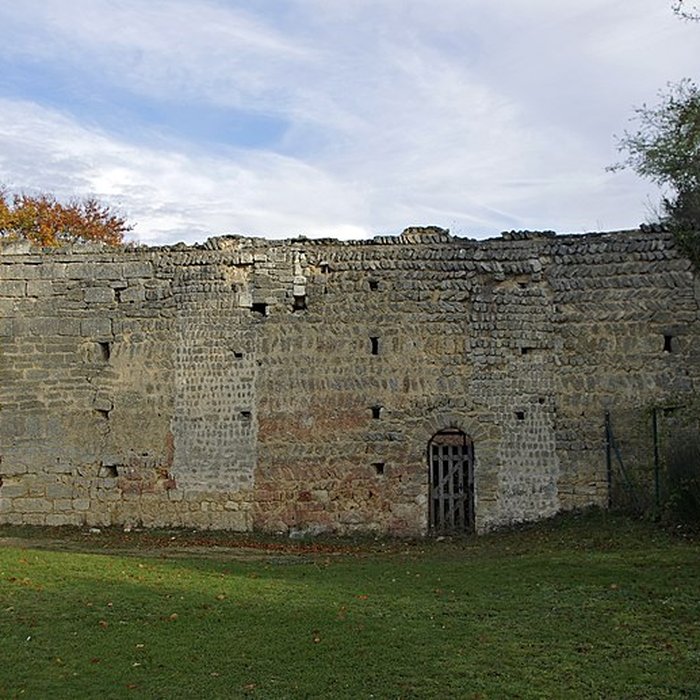 Photo de Motte féodale et donjon restes