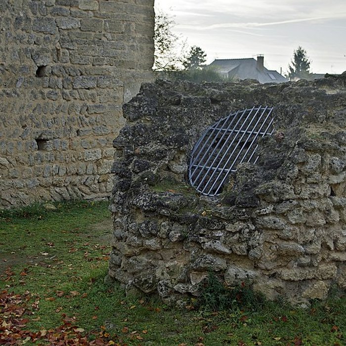 Photo de Motte féodale et donjon restes